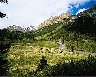 《永劫无间》测试正式开启，免费加速选雷神加速器！