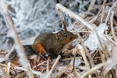 首发C罗、二测开服，《饿狼传说》还有哪些大活？